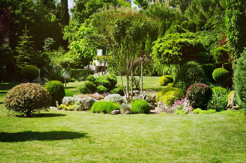 広い庭